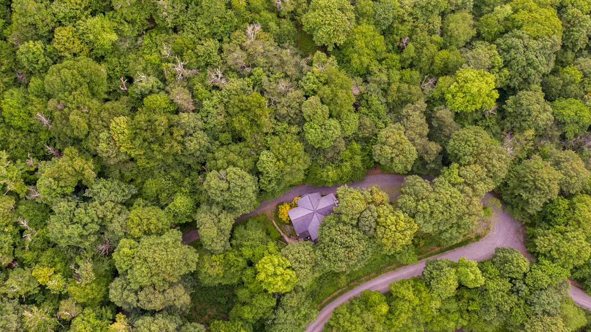 This image features the unique circular house nestled among lush greenery, with a winding path leading up to the entrance. The surroundings evoke a sense of seclusion and immersion in nature, with tall trees and verdant foliage enhancing the treehouse-like ambiance referenced in the section.